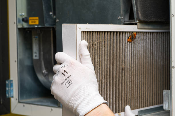Best Duct Cleaning for Offices  in Wake Village, TX