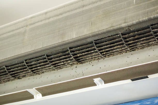 Best Air Duct Cleaning Cost  in Wake Village, TX